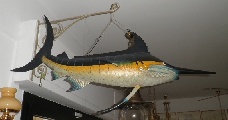 Versilia collection offers  Clock + Marlin