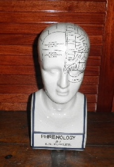 Items and Nautical instruments Gift ideas Phrenology head